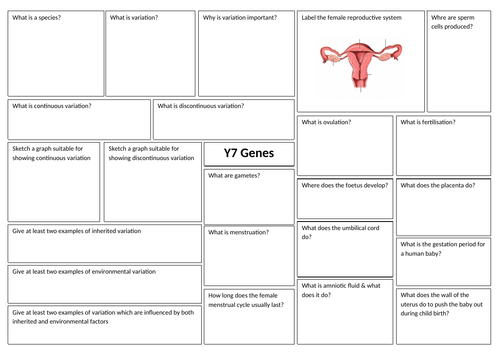 Y7 Genes Revision pack 2020 - Based on AQA KS3 Science Programme of Study