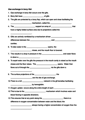 Gas exchange in bony fish gap fill