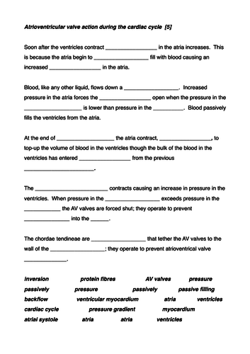 Atrioventricular valves