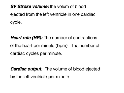 8 slides cardiac output; stroke volume; heart rate.
