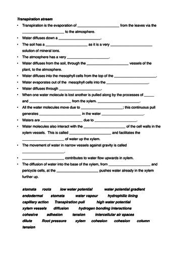 Transpiration stream