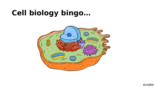 Cell organelles bingo