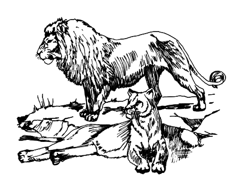 Lion Clip Art Pack