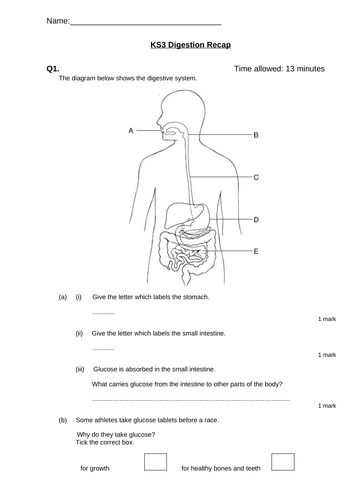 AQA (9-1) Human Digestive System (Spec Ref: 4.2.2.1)