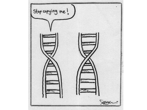 AQA A LEVEL BIOLOGY - RECOMBINANT DNA TECHNOLOGY FULL SCHEME OF WORK