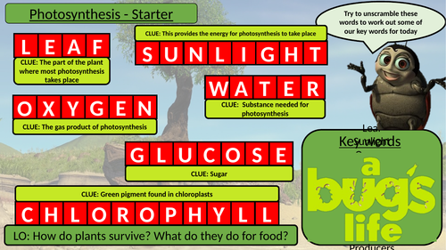 Activate 2  Lesson 1 Photosynthesis