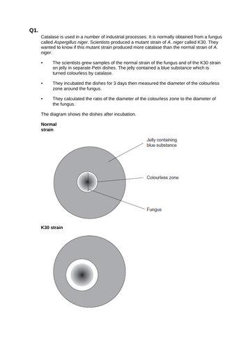 A LEVEL BIOLOGY - MATHS BOOKLET