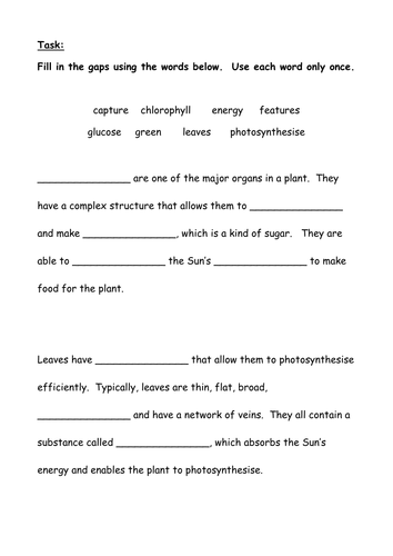 Activate 2 B2.2 Leaves