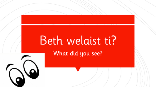 Beth welaist ti? - What did you see?