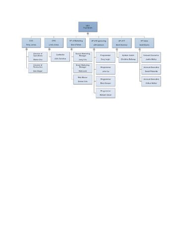 AQA business studies unit 4.1 - organisational structures