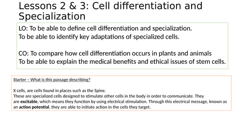 Differentiation and specialized cells