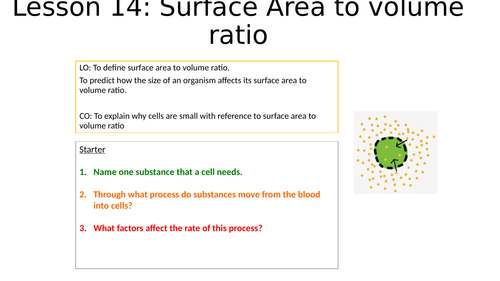 Surface area to volume ratio practical