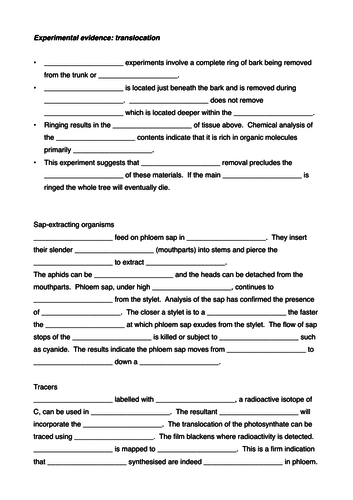 Sugar translocation experimental evidence gap fill