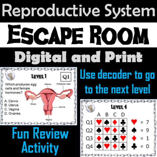 Reproductive System Escape Room - Science: Anatomy (Human Body Activity)