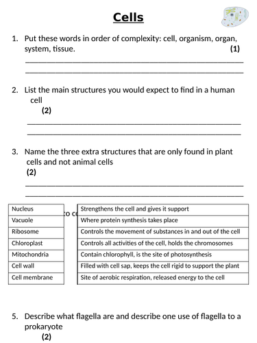 NEW AQA GCSE Trilogy (2016) Biology - Cells Homework
