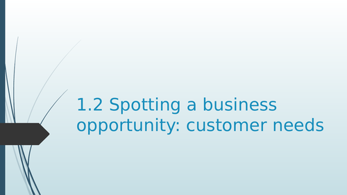 Topic 1.2 Spotting a business opportunity