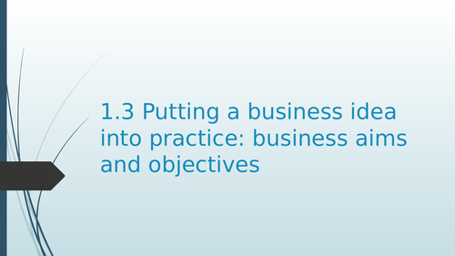 1.3 Putting a business idea into practice