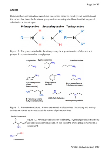 Amines and amides notes