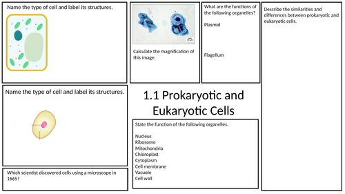 Prokaryotic and Eukaryotic Cells Revision Mat