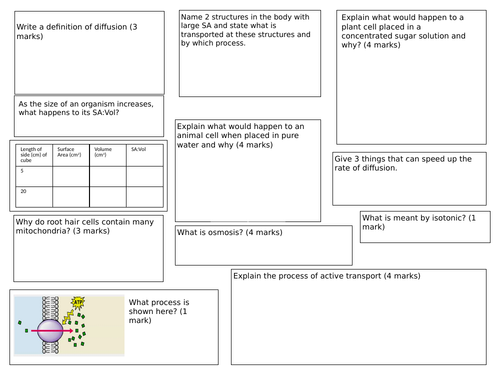Transport in Cells revision mat