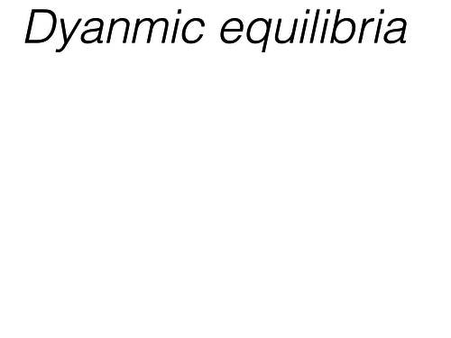Dynamic equilibria year 1