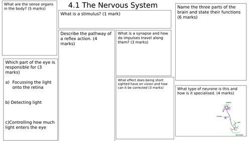 Nervous Coordination and Control revision mat