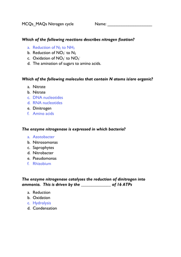 Nitrogen cycle quiz (different)
