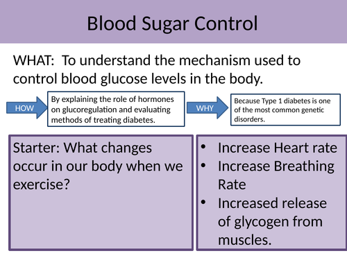 GCSE Biology Controlling Blood Glucose Levels