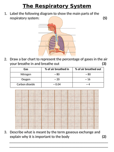 NEW AQA GCSE Trilogy (2016) Biology - The Respiratory System Homework