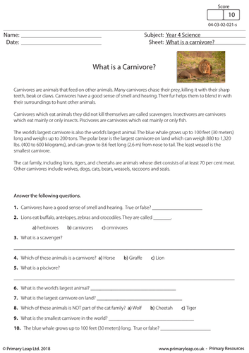 KS2 Science Resource -  What is a Carnivore?