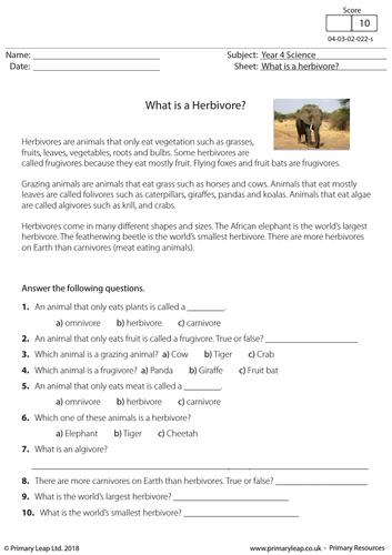 KS2 Science Resource - What is a Herbivore?