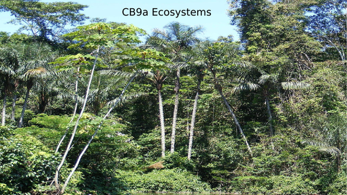 B3d CB9ab Ecosystems and Abiotic factors