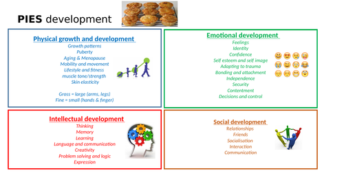 the-acronym-pies-is-used-to-describe