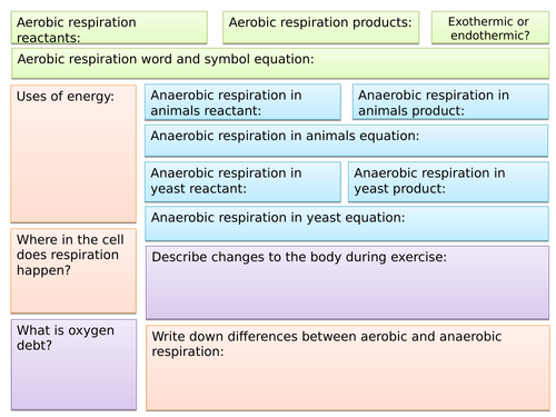 B9 Respiration Summary