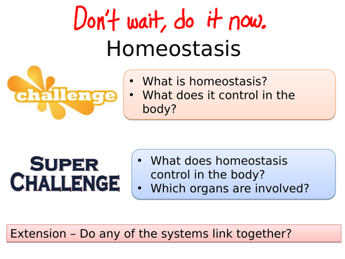 B10 Principles of Homeostasis