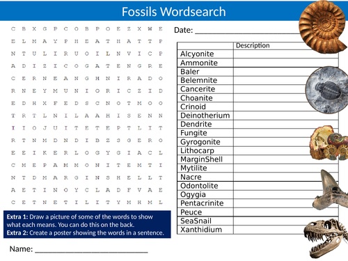 Fossils Wordsearch Sheet Starter Activity Keywords Cover Homework Geology Geography