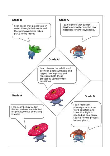 Plant Adaptations, Photosynthesis and Uses of Glucose