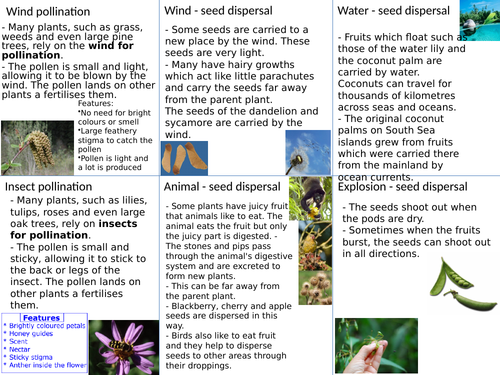 Plant Reproduction Sexual And Asexual Teaching Resources