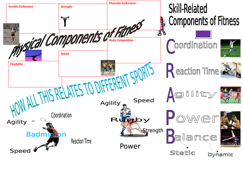 BTEC SPORT Level 2 UNIT 1 Revision Mat