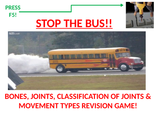 STOP THE BUS! GCSE PE revision starter/plenary on bones, joints and movement types.