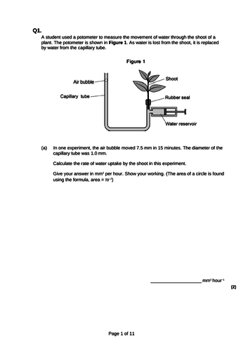 What assumption is made when using a potometer picture