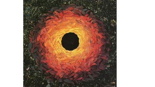 Andy Goldsworthy Land Art