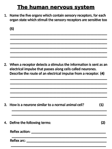 NEW AQA GCSE Trilogy (2016) Biology - The Human Nervous System Homework