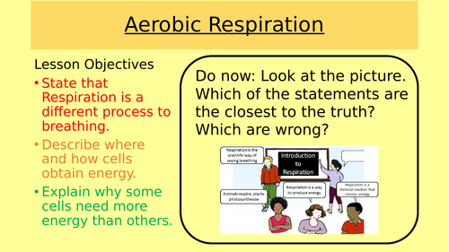 Aerobic Respiration