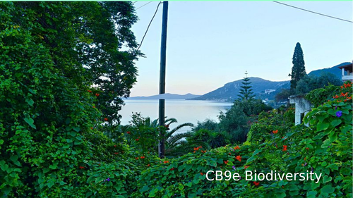 CB9e Biodiversity
