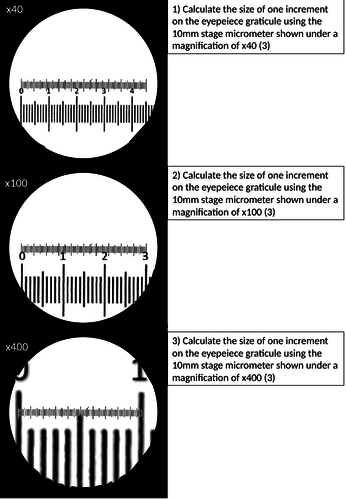 Eyepiece Graticule/Stage Micrometer calibration calculations | Teaching