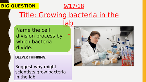 AQA new specification-Growing bacteria in the lab-B5.3