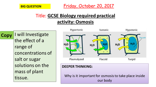 AQA new specification-REQUIRED PRACTICAL 3-Osmosis-B1
