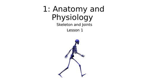 GCSE PE Skeleton and Joints, lesson plans and matching worksheets for CIE