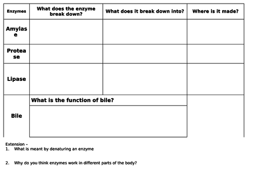 Enzymes in Digestion + Digestive system